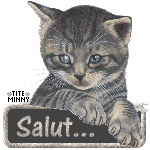 chat