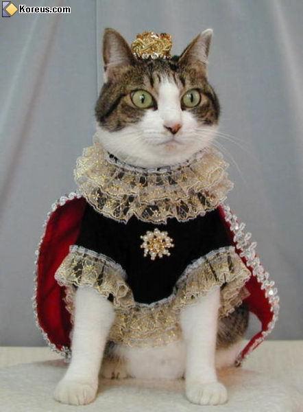 le roi